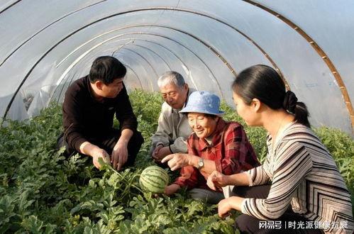 卾州父女吃瓜,一场引发网友热议的亲子互动