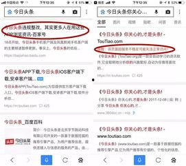 头条首页没有图片,头条首页新鲜资讯一览无余”